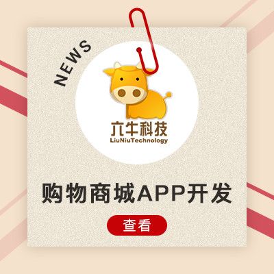 莫畏科技上海  猪三五戒 企业 1 app定制开发商城购物系统开发b2c
